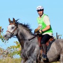 Bridon simple ergonomique pour l'équitation - Sellerie Gaston Mercier